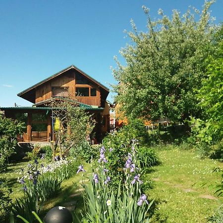 Casa Natalia Hotell Braşov Eksteriør bilde