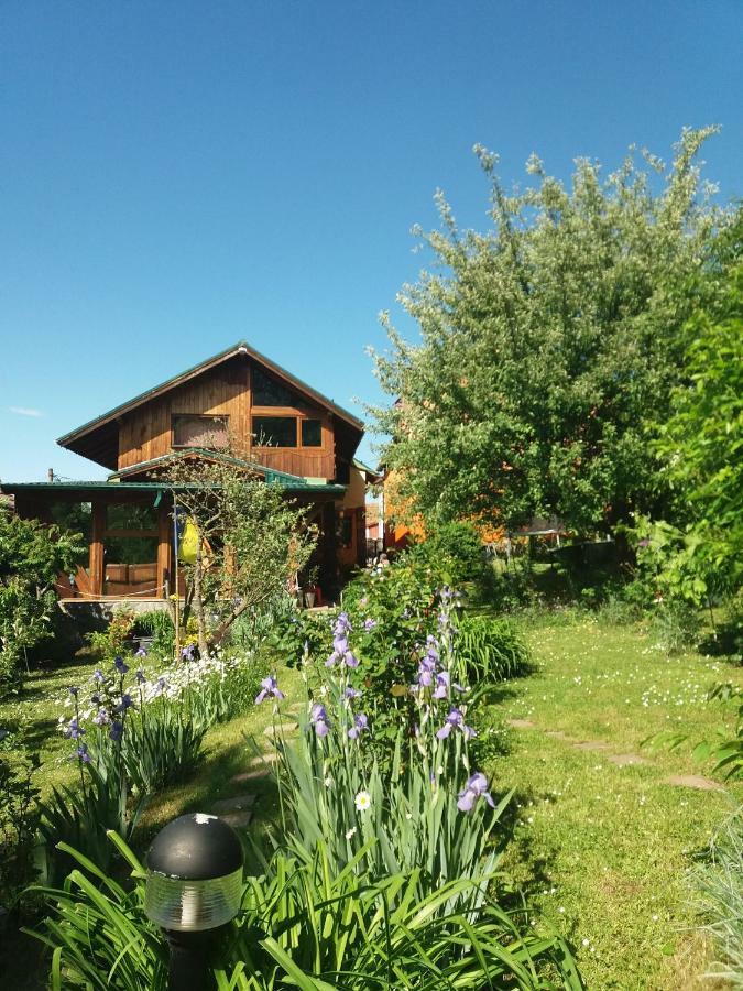 Casa Natalia Hotell Braşov Eksteriør bilde